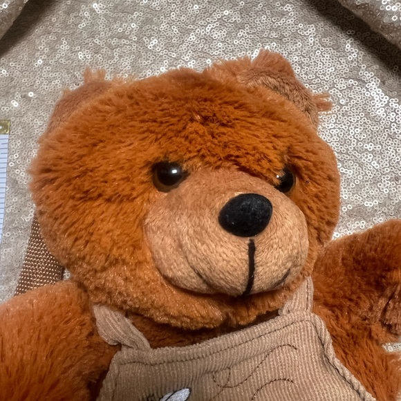 Backpack 🎒 Bear 🐻 Plush - Picture 10 of 10